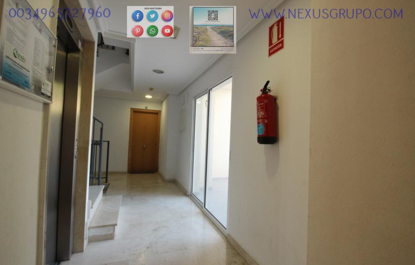 REAL ESTATE, GRUPO NEXUS, RENT GROUND FLOOR APARTMENT FOR 9 MONTHS, IN GUARDAMAR DEL SEGURA. in Nexus Grupo