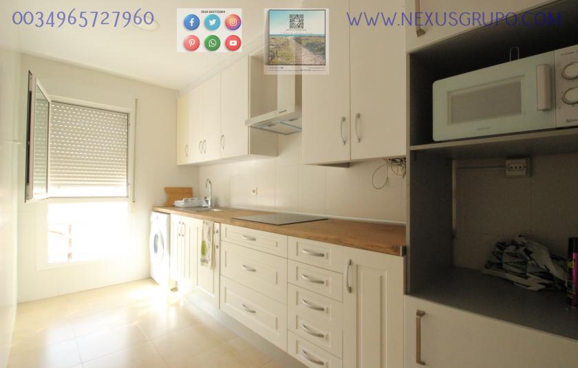 REAL ESTATE, GRUPO NEXUS, RENT GROUND FLOOR APARTMENT FOR 9 MONTHS, IN GUARDAMAR DEL SEGURA. in Nexus Grupo