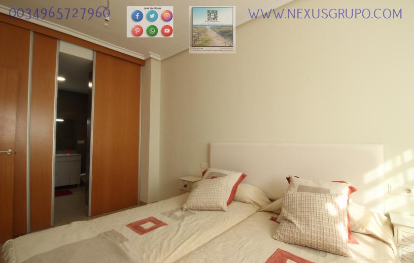 REAL ESTATE, GRUPO NEXUS, RENT GROUND FLOOR APARTMENT FOR 9 MONTHS, IN GUARDAMAR DEL SEGURA. in Nexus Grupo