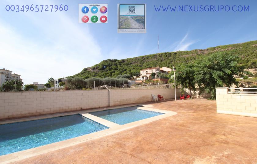 REAL ESTATE, GRUPO NEXUS, RENT GROUND FLOOR APARTMENT FOR 9 MONTHS, IN GUARDAMAR DEL SEGURA. in Nexus Grupo