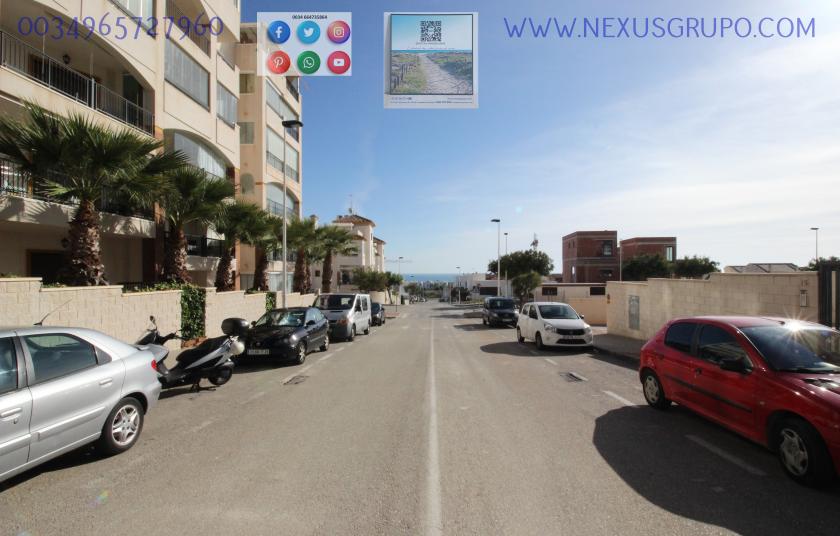 REAL ESTATE, GRUPO NEXUS, RENT GROUND FLOOR APARTMENT FOR 9 MONTHS, IN GUARDAMAR DEL SEGURA. in Nexus Grupo