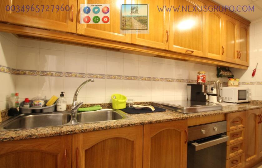 REAL ESTATE, GRUPO NEXUS RENT A GROUND FLOOR APARTMENT FOR THE WHOLE YEAR in Nexus Grupo