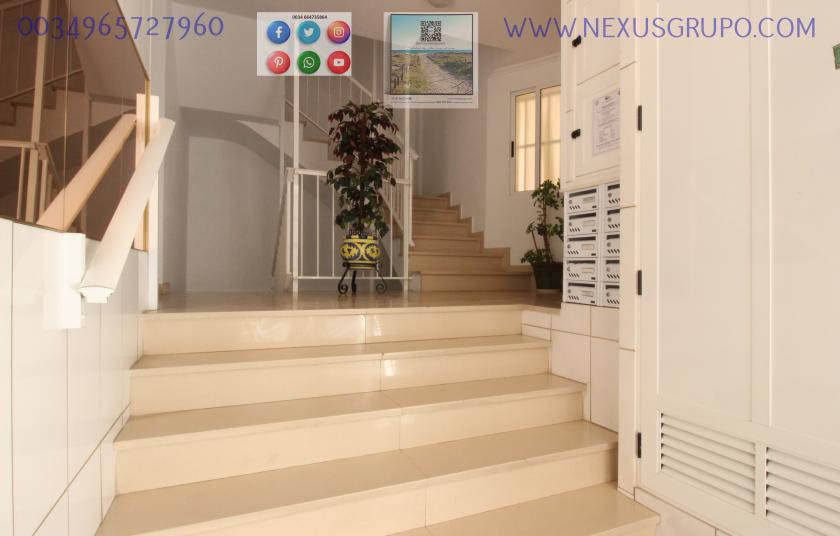 REAL ESTATE, GRUPO NEXUS RENT A GROUND FLOOR APARTMENT FOR THE WHOLE YEAR in Nexus Grupo