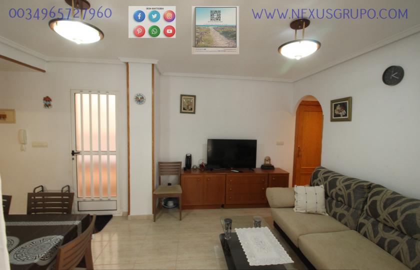 REAL ESTATE, GRUPO NEXUS RENT A GROUND FLOOR APARTMENT FOR THE WHOLE YEAR in Nexus Grupo