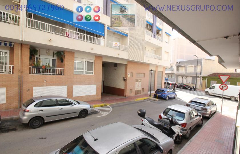 REAL ESTATE, GRUPO NEXUS RENT A GROUND FLOOR APARTMENT FOR THE WHOLE YEAR in Nexus Grupo