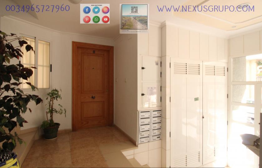 REAL ESTATE, GRUPO NEXUS RENT A GROUND FLOOR APARTMENT FOR THE WHOLE YEAR in Nexus Grupo