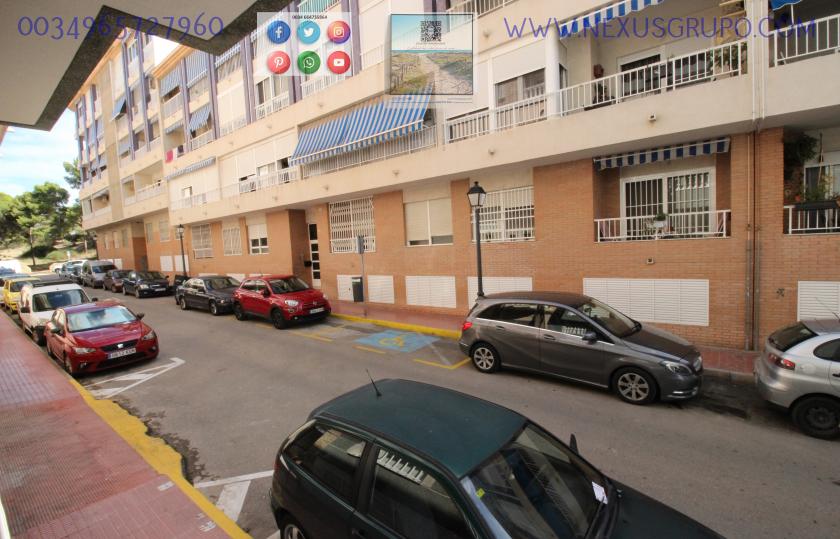 REAL ESTATE, GRUPO NEXUS RENT A GROUND FLOOR APARTMENT FOR THE WHOLE YEAR in Nexus Grupo