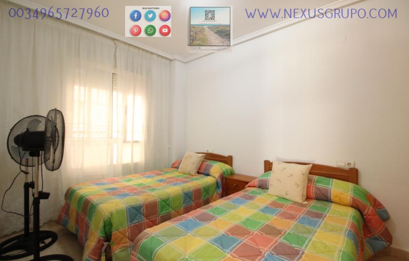 REAL ESTATE, GRUPO NEXUS RENT A GROUND FLOOR APARTMENT FOR THE WHOLE YEAR in Nexus Grupo