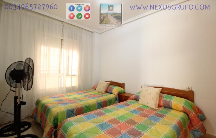REAL ESTATE, GRUPO NEXUS RENT A GROUND FLOOR APARTMENT FOR THE WHOLE YEAR in Nexus Grupo