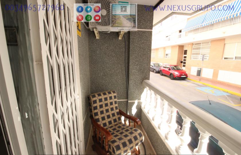 REAL ESTATE, GRUPO NEXUS RENT A GROUND FLOOR APARTMENT FOR THE WHOLE YEAR in Nexus Grupo