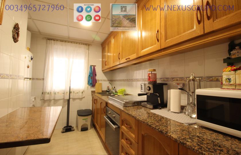 REAL ESTATE, GRUPO NEXUS RENT A GROUND FLOOR APARTMENT FOR THE WHOLE YEAR in Nexus Grupo