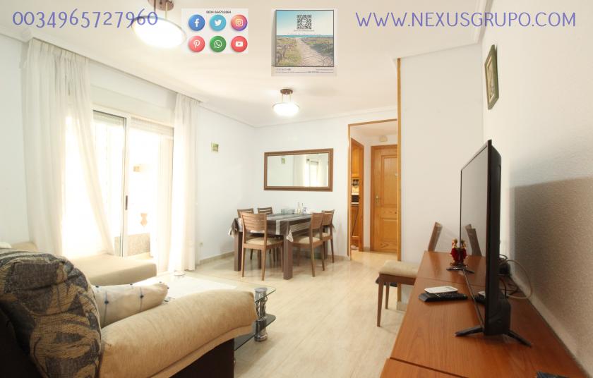 REAL ESTATE, GRUPO NEXUS RENT A GROUND FLOOR APARTMENT FOR THE WHOLE YEAR in Nexus Grupo