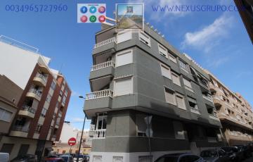 REAL ESTATE, GRUPO NEXUS RENT A GROUND FLOOR APARTMENT FOR THE WHOLE YEAR in Nexus Grupo