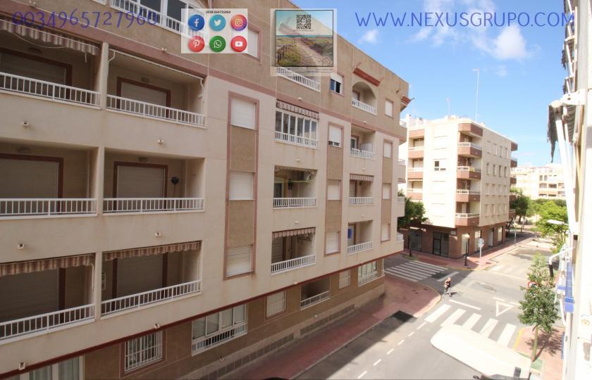 REAL ESTATE, GRUPO NEXUS RENT APARTMENT FOR THE WHOLE YEAR IN MANUEL LUCAS MACIA STREET IN GUARDAMAR DEL SEGURA in Nexus Grupo