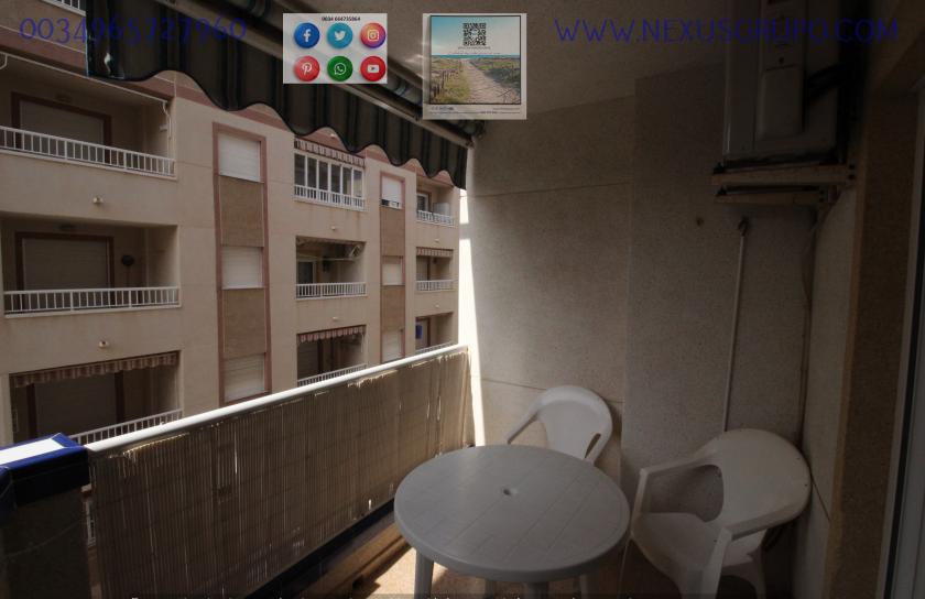 REAL ESTATE, GRUPO NEXUS RENT APARTMENT FOR THE WHOLE YEAR IN MANUEL LUCAS MACIA STREET IN GUARDAMAR DEL SEGURA in Nexus Grupo