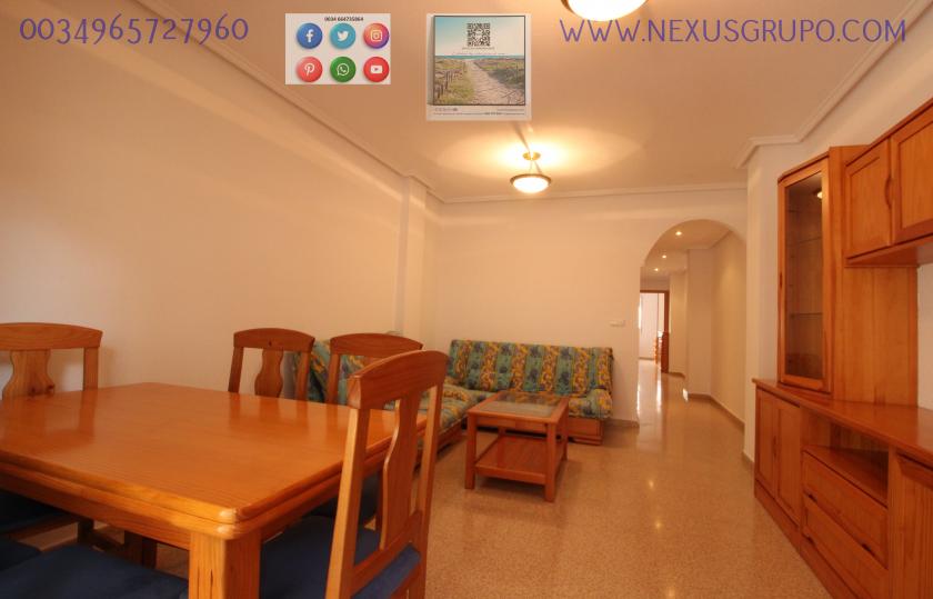 REAL ESTATE, GRUPO NEXUS RENT APARTMENT FOR THE WHOLE YEAR IN MANUEL LUCAS MACIA STREET IN GUARDAMAR DEL SEGURA in Nexus Grupo