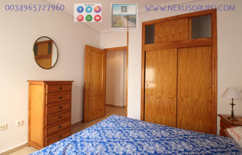 REAL ESTATE, GRUPO NEXUS RENT APARTMENT FOR THE WHOLE YEAR IN MANUEL LUCAS MACIA STREET IN GUARDAMAR DEL SEGURA in Nexus Grupo