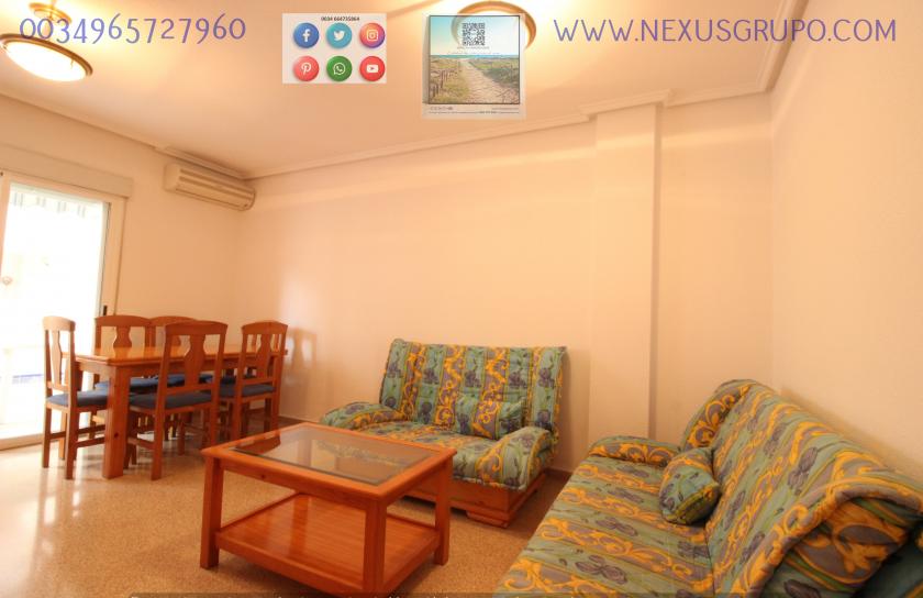 REAL ESTATE, GRUPO NEXUS RENT APARTMENT FOR THE WHOLE YEAR IN MANUEL LUCAS MACIA STREET IN GUARDAMAR DEL SEGURA in Nexus Grupo