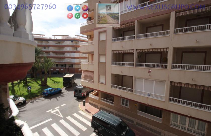 REAL ESTATE, GRUPO NEXUS RENT APARTMENT FOR THE WHOLE YEAR IN MANUEL LUCAS MACIA STREET IN GUARDAMAR DEL SEGURA in Nexus Grupo