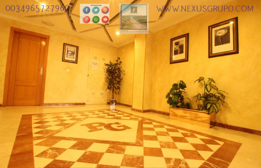 REAL ESTATE, GRUPO NEXUS RENT APARTMENT FOR THE WHOLE YEAR IN MANUEL LUCAS MACIA STREET IN GUARDAMAR DEL SEGURA in Nexus Grupo