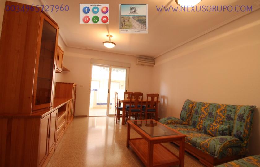 REAL ESTATE, GRUPO NEXUS RENT APARTMENT FOR THE WHOLE YEAR IN MANUEL LUCAS MACIA STREET IN GUARDAMAR DEL SEGURA in Nexus Grupo