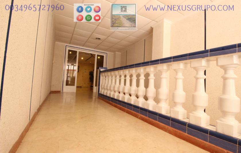 REAL ESTATE, GRUPO NEXUS RENT APARTMENT FOR THE WHOLE YEAR IN MANUEL LUCAS MACIA STREET IN GUARDAMAR DEL SEGURA in Nexus Grupo