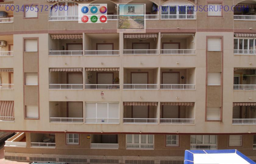 REAL ESTATE, GRUPO NEXUS RENT APARTMENT FOR THE WHOLE YEAR IN MANUEL LUCAS MACIA STREET IN GUARDAMAR DEL SEGURA in Nexus Grupo