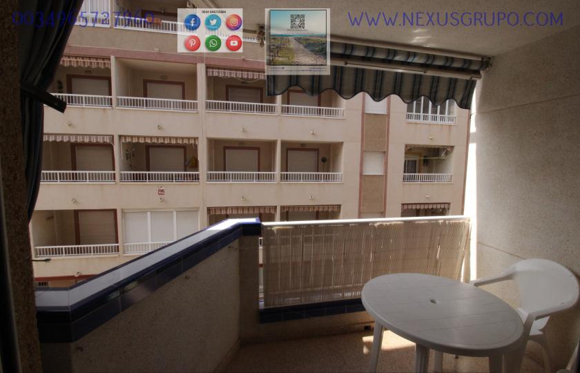 REAL ESTATE, GRUPO NEXUS RENT APARTMENT FOR THE WHOLE YEAR IN MANUEL LUCAS MACIA STREET IN GUARDAMAR DEL SEGURA in Nexus Grupo