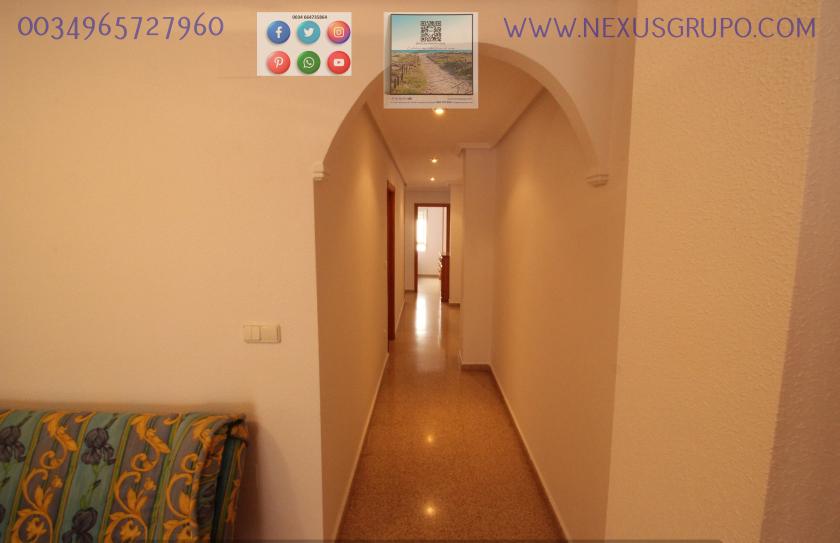 REAL ESTATE, GRUPO NEXUS RENT APARTMENT FOR THE WHOLE YEAR IN MANUEL LUCAS MACIA STREET IN GUARDAMAR DEL SEGURA in Nexus Grupo