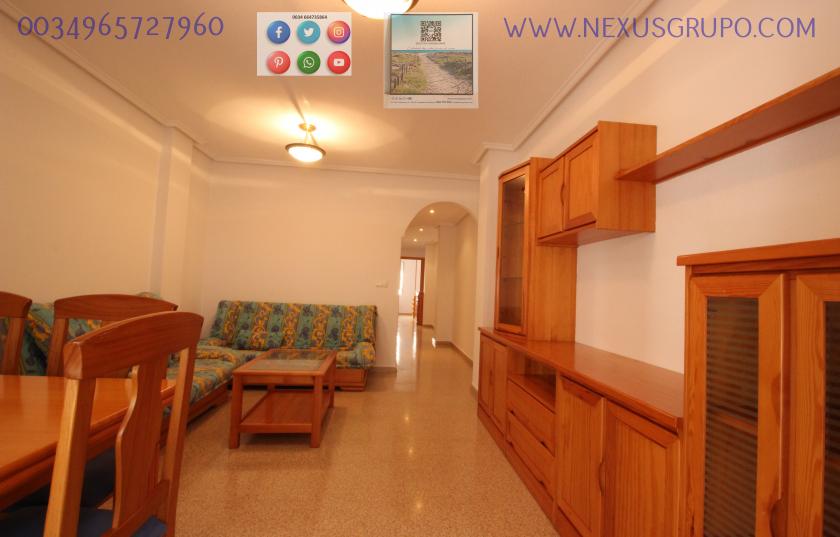 REAL ESTATE, GRUPO NEXUS RENT APARTMENT FOR THE WHOLE YEAR IN MANUEL LUCAS MACIA STREET IN GUARDAMAR DEL SEGURA in Nexus Grupo