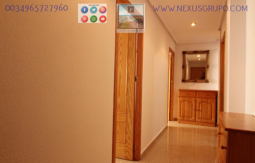 REAL ESTATE, GRUPO NEXUS RENT APARTMENT FOR THE WHOLE YEAR IN MANUEL LUCAS MACIA STREET IN GUARDAMAR DEL SEGURA in Nexus Grupo