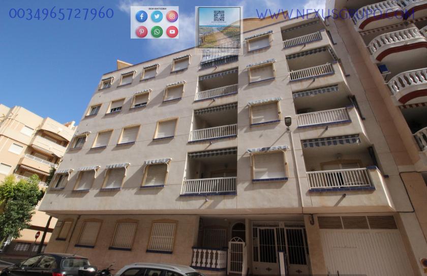 REAL ESTATE, GRUPO NEXUS RENT APARTMENT FOR THE WHOLE YEAR IN MANUEL LUCAS MACIA STREET IN GUARDAMAR DEL SEGURA in Nexus Grupo