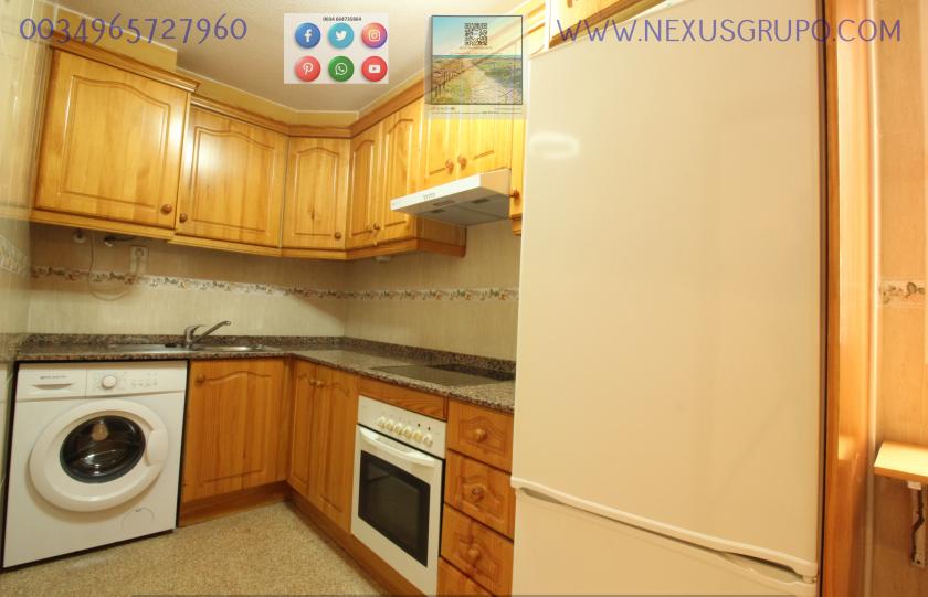 REAL ESTATE, GRUPO NEXUS RENT APARTMENT FOR THE WHOLE YEAR IN MANUEL LUCAS MACIA STREET IN GUARDAMAR DEL SEGURA in Nexus Grupo