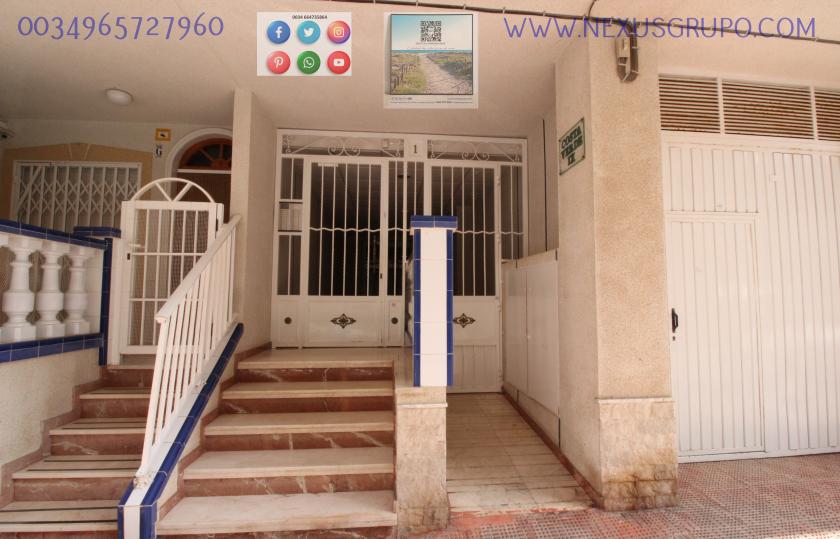 REAL ESTATE, GRUPO NEXUS RENT APARTMENT FOR THE WHOLE YEAR IN MANUEL LUCAS MACIA STREET IN GUARDAMAR DEL SEGURA in Nexus Grupo