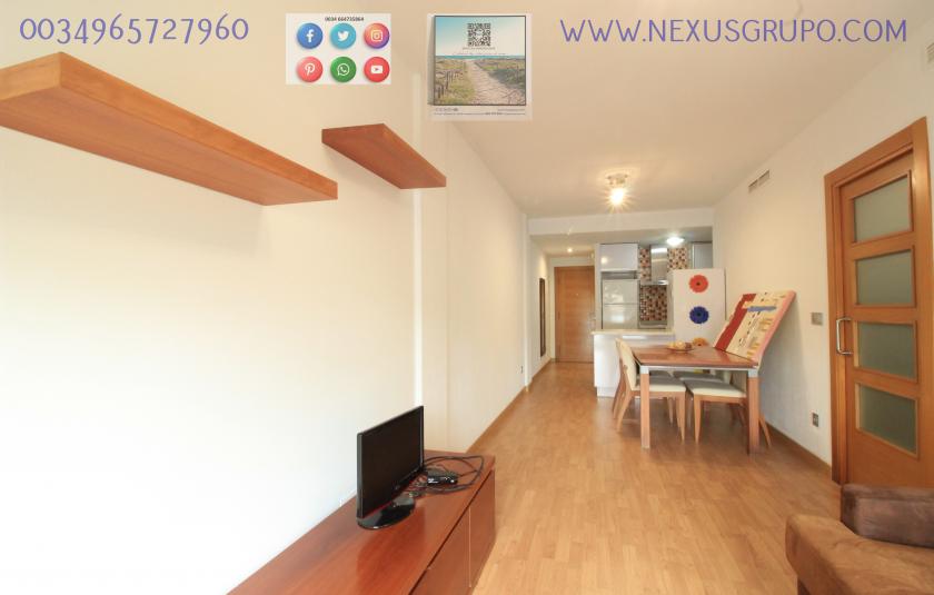 REAL ESTATE, GRUPO NEXUS, RENT APARTMENT FOR THE WHOLE YEAR, IN CALLE NORTE, GUARDAMAR DEL SEGURA. in Nexus Grupo