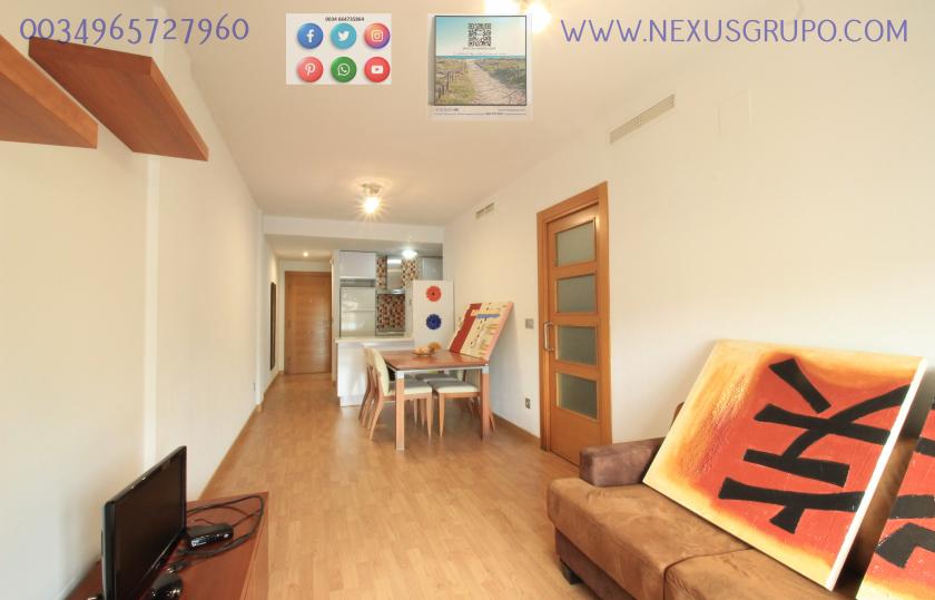 REAL ESTATE, GRUPO NEXUS, RENT APARTMENT FOR THE WHOLE YEAR, IN CALLE NORTE, GUARDAMAR DEL SEGURA. in Nexus Grupo