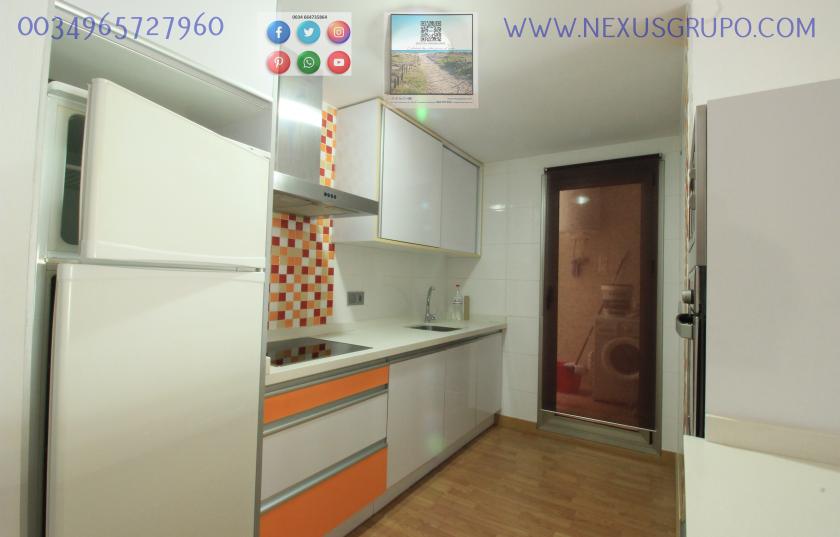 ONROEREND GOED, GRUPO NEXUS, HUUR APPARTEMENT VOOR HET HELE JAAR, IN CALLE NORTE, GUARDAMAR DEL SEGURA in Nexus Grupo