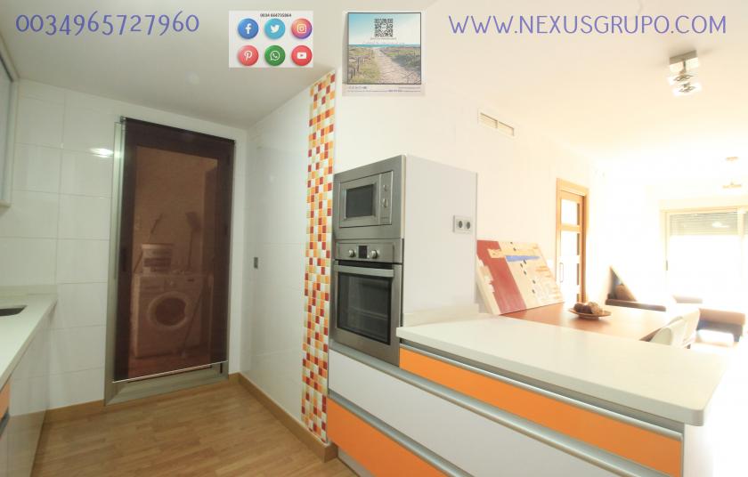 REAL ESTATE, GRUPO NEXUS, RENT APARTMENT FOR THE WHOLE YEAR, IN CALLE NORTE, GUARDAMAR DEL SEGURA. in Nexus Grupo