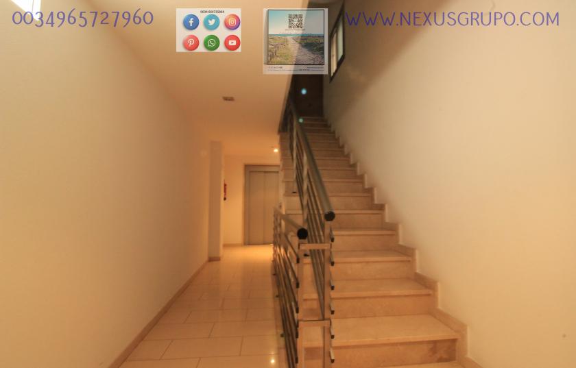 REAL ESTATE, GRUPO NEXUS, RENT APARTMENT FOR THE WHOLE YEAR, IN CALLE NORTE, GUARDAMAR DEL SEGURA. in Nexus Grupo