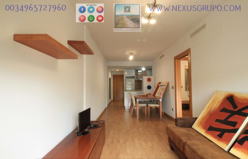 REAL ESTATE, GRUPO NEXUS, RENT APARTMENT FOR THE WHOLE YEAR, IN CALLE NORTE, GUARDAMAR DEL SEGURA. in Nexus Grupo