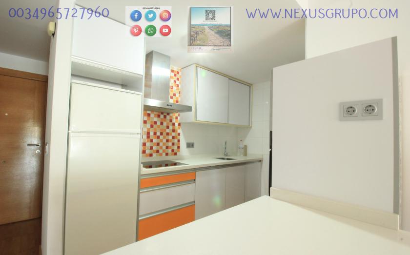 REAL ESTATE, GRUPO NEXUS, RENT APARTMENT FOR THE WHOLE YEAR, IN CALLE NORTE, GUARDAMAR DEL SEGURA. in Nexus Grupo