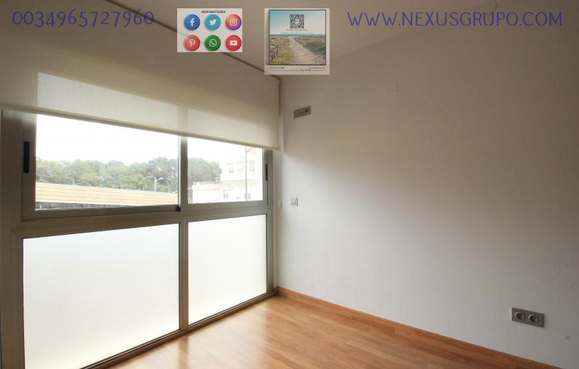 REAL ESTATE, GRUPO NEXUS, RENT APARTMENT FOR THE WHOLE YEAR, IN CALLE NORTE, GUARDAMAR DEL SEGURA. in Nexus Grupo