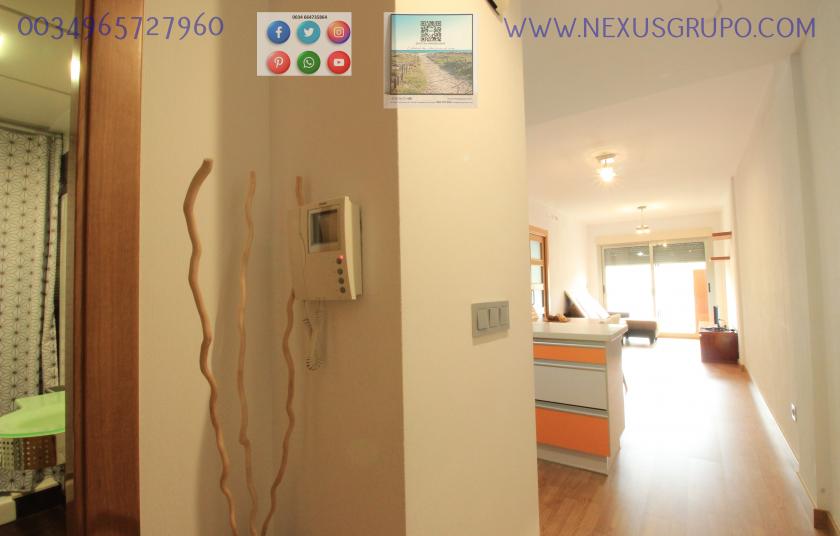 REAL ESTATE, GRUPO NEXUS, RENT APARTMENT FOR THE WHOLE YEAR, IN CALLE NORTE, GUARDAMAR DEL SEGURA. in Nexus Grupo