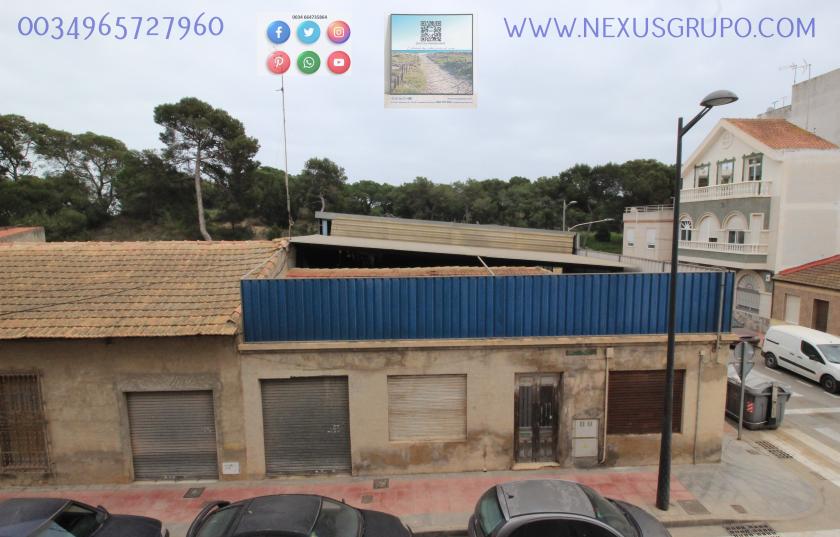 REAL ESTATE, GRUPO NEXUS, RENT APARTMENT FOR THE WHOLE YEAR, IN CALLE NORTE, GUARDAMAR DEL SEGURA. in Nexus Grupo