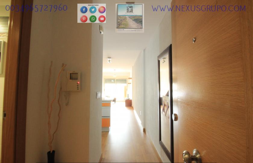 ONROEREND GOED, GRUPO NEXUS, HUUR APPARTEMENT VOOR HET HELE JAAR, IN CALLE NORTE, GUARDAMAR DEL SEGURA in Nexus Grupo