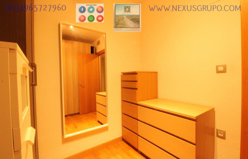 REAL ESTATE, GRUPO NEXUS RENTS APARTMENT FOR THE WHOLE YEAR, IN DUNAS DE GUARDAMAR DEL SEGURA STREET in Nexus Grupo