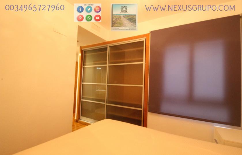 REAL ESTATE, GRUPO NEXUS RENTS APARTMENT FOR THE WHOLE YEAR, IN DUNAS DE GUARDAMAR DEL SEGURA STREET in Nexus Grupo