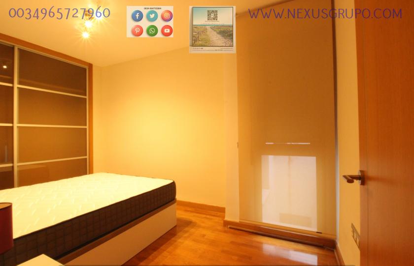 REAL ESTATE, GRUPO NEXUS RENTS APARTMENT FOR THE WHOLE YEAR, IN DUNAS DE GUARDAMAR DEL SEGURA STREET in Nexus Grupo