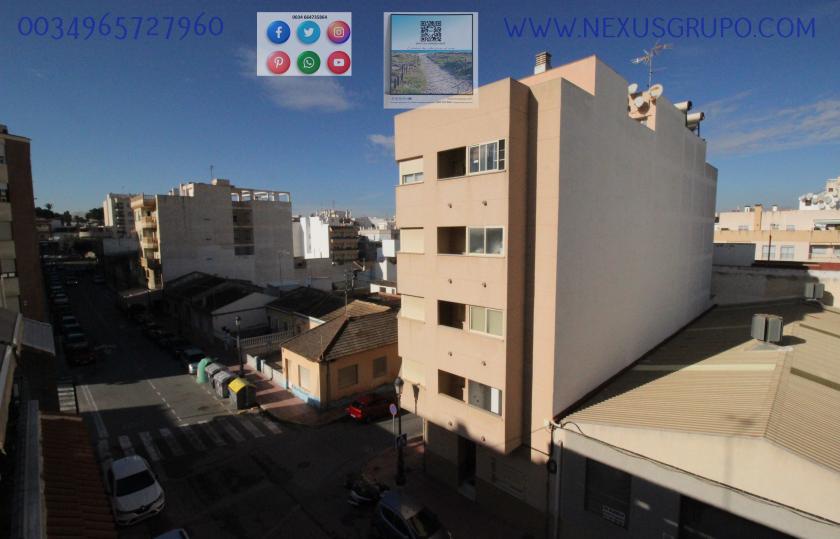 REAL ESTATE, GRUPO NEXUS RENTS APARTMENT FOR THE WHOLE YEAR, IN DUNAS DE GUARDAMAR DEL SEGURA STREET in Nexus Grupo