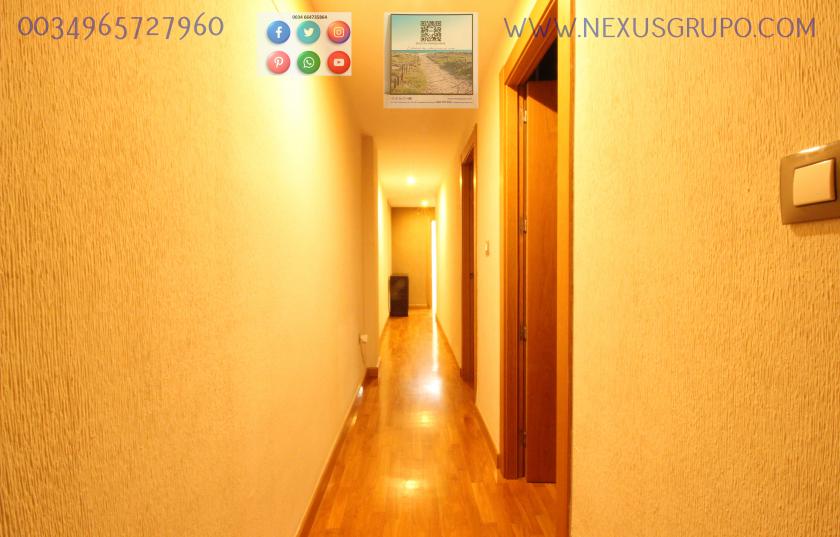 REAL ESTATE, GRUPO NEXUS RENTS APARTMENT FOR THE WHOLE YEAR, IN DUNAS DE GUARDAMAR DEL SEGURA STREET in Nexus Grupo